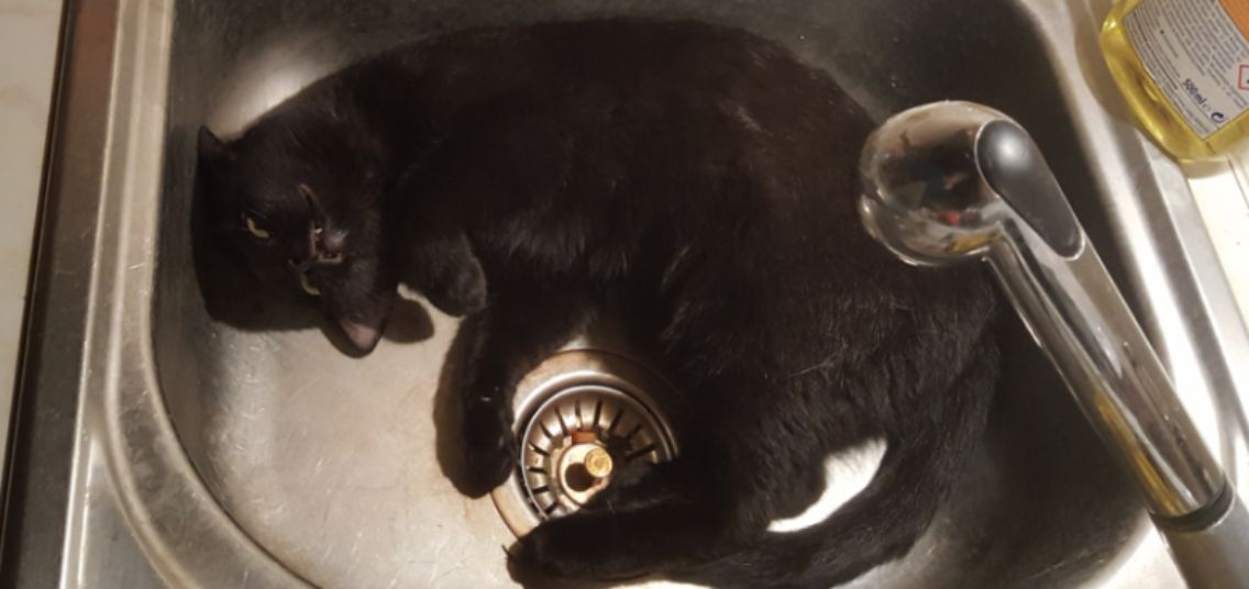 Die besten Anti-Kater Getränke